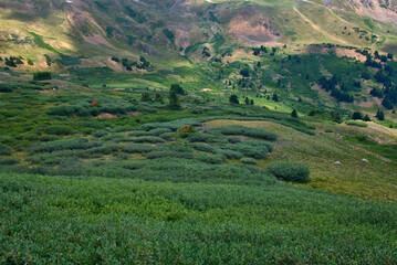 Obraz premium Remote back country of the Colorado Rocky Mountains