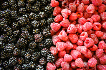 Full frame shot of the blackberries and raspberries. Left side of blackberries, and right side raspberries.