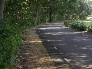 Asphalt agricultural side road, with white marked lines as demarcation and protection zone for bicycles, the road leads along a light-flooded edge of the forest, there is a play of light and shadow