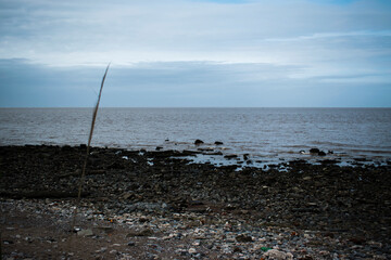 Beautiful Desolation