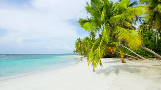 The best beaches in the world. Cuba palm beach and sea background. No person, copy space.