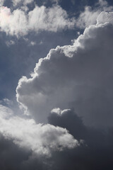 Deep blue summer sky with epic white cumulus clouds. Immense cumulus rising to become cumulonimbus.