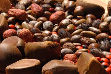 Assunto: Sementes da Amazônia