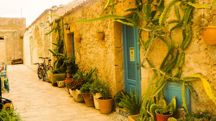 house in narrow street with plants in sicily