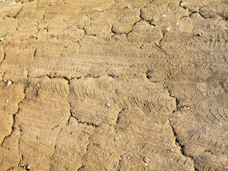 texture of dried cracked surface layer of the earth