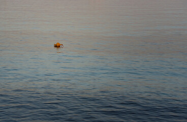 Background of a sunset by the sea with a red plastic buoy floating on the calm water