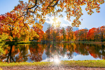 Fototapeta na wymiar Golden autumn (fall) in Alexander park, Tsarskoe Selo (Pushkin), Saint Petersburg, Russia