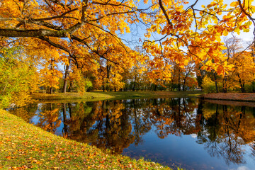 Autumn foliage in Alexander park, Tsarskoe Selo (Pushkin), St. Petersburg, Russia