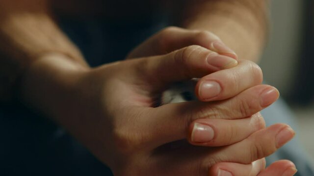 Young girl in brown sweater and jeans sits on beige sofa and holds white hamster between her fingers. Animal climbs out and runs on his hand. Close-up.