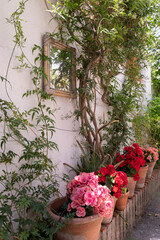 Beautiful garden in a Carmerla in Granada, Spain with red and pick flowers on white patio wall and a mirror 