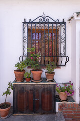 Fototapeta na wymiar Beautiful garden in a Carmerla in Granada, Spain with red and pick flowers on white patio wall and a mirror 