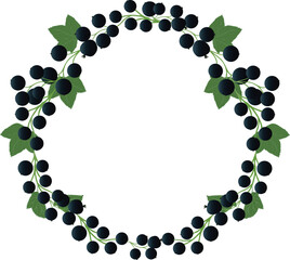 Pattern in the form of a circle with ripe black currant berries on branches with green leaves. For postcards, stickers, and labels.