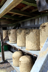 Imkerei, Stuelper, Lueneburger Stuelper, Wilsede, Niedersachsen, Deutschland, Europa