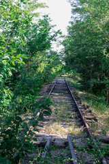 railway in the woods in Sombor, Serbia