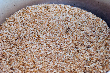 Golden seeds of Ajonjoli, condiment to make typical sauces in Guatemala called Recados.