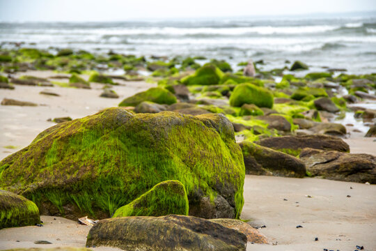 Mossy Green Rocks On The Coast At The Ocean