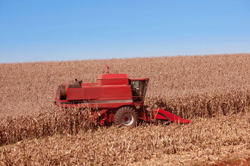 Fototapeta premium Colheita mecanizada de milho