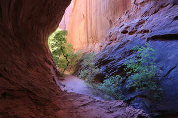 Fuzzy Caterpillar gorge, a slot canyon on the Burr Trail in the Grand Staircase escalante national monument in Southern Utah