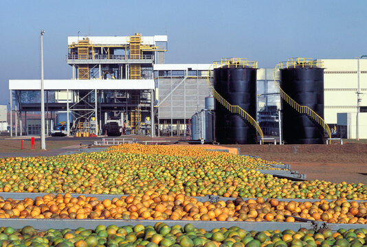 Ind&uacute;stria de Suco de Laranja.