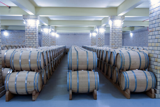 Cave de vin&iacute;cola - Vale dos Vinhedos