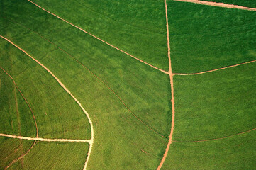 Obraz premium Vista aérea de plantação de cana-de-açúcar .