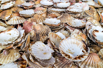 Dieppe City from Normandy, France