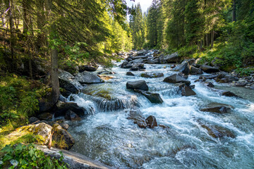 View of the river or torrent in the Natural Park of Paneveggio Pale di San Martino in Tonadico, Trentino, Italy