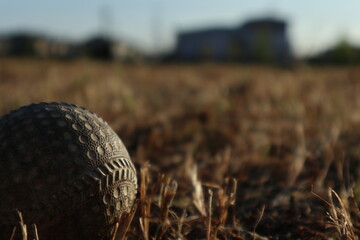 空き地に置かれた野球ボール
