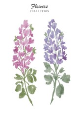 Obraz premium Couple Flowers