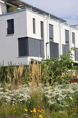 Häuser, Siedlung, Moderner Wohnungsbau, Bahnstadt Heidelberg, Deutschland
