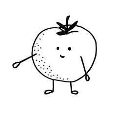 The tomato is a vegetable black-and-white outline vector illustration.