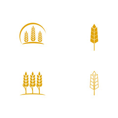 Set Wheat Logo Template vector symbol