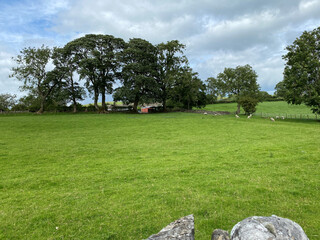 View of a large meadow, with farming equipment, in the distance in, Airton, Skipton, UK