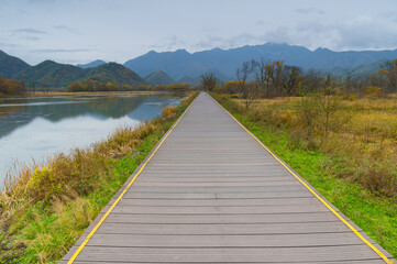 Fototapeta premium Autumn scenery of Hubei Shennongjia National Geopark Scenic Area, China