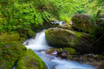 Autumn scenery of Hubei Shennongjia National Geopark Scenic Area, China