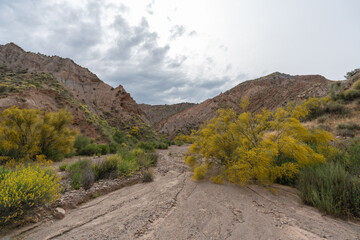 mountainous landscape in southern Spain