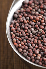 Mustard Seeds in a Metal Measuring spoon-closeup