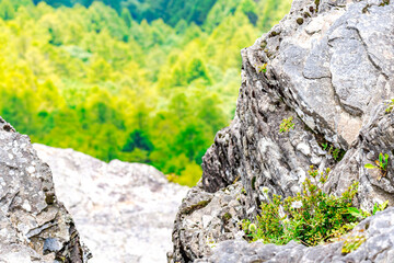 【長野県 美ヶ原】雲上の景色が望める「王ヶ鼻」