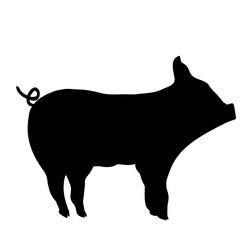 piggy silhouette isolated on white background