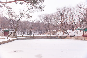 The beautiful snowy forest and ice pond at park.