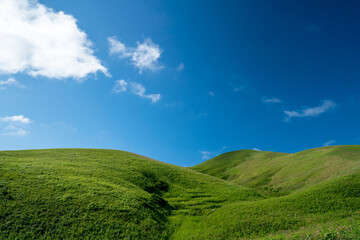 北海道　礼文島