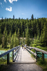 hiking trail in the mountains