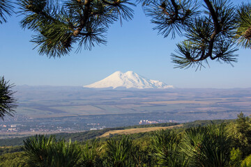 Snowy peaks of Mount Elbrus from another mountain surrounded by coniferous branches against the...