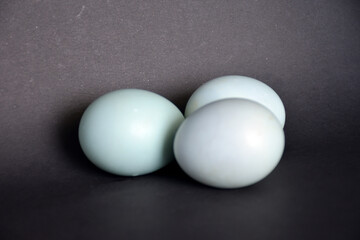 eggs on black background
