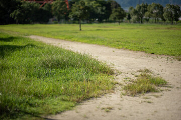 Obraz premium path in the field