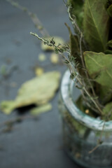 Thyme green spice on a glass pot on a black surface   