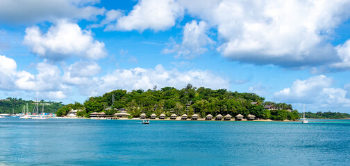 tropical island with palm trees