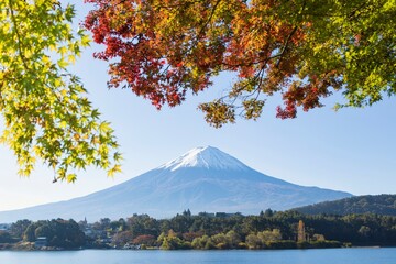 Naklejka premium 富士山と紅葉