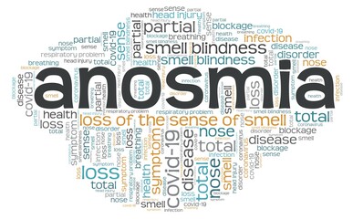 Anosmia - loss of sense of smell vector illustration word cloud isolated on a white background.