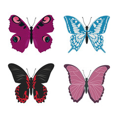 Obraz na płótnie Canvas Vector illustration of beautiful butterflies